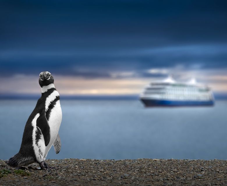 Antarctica Cruise Deals