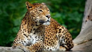 Sri Lanka - Total Holiday Options