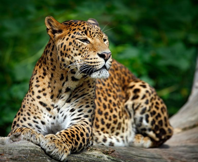 Sri Lanka - Total Holiday Options