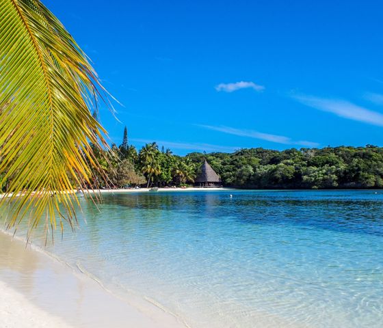 New Caledonia Isle Of Pines