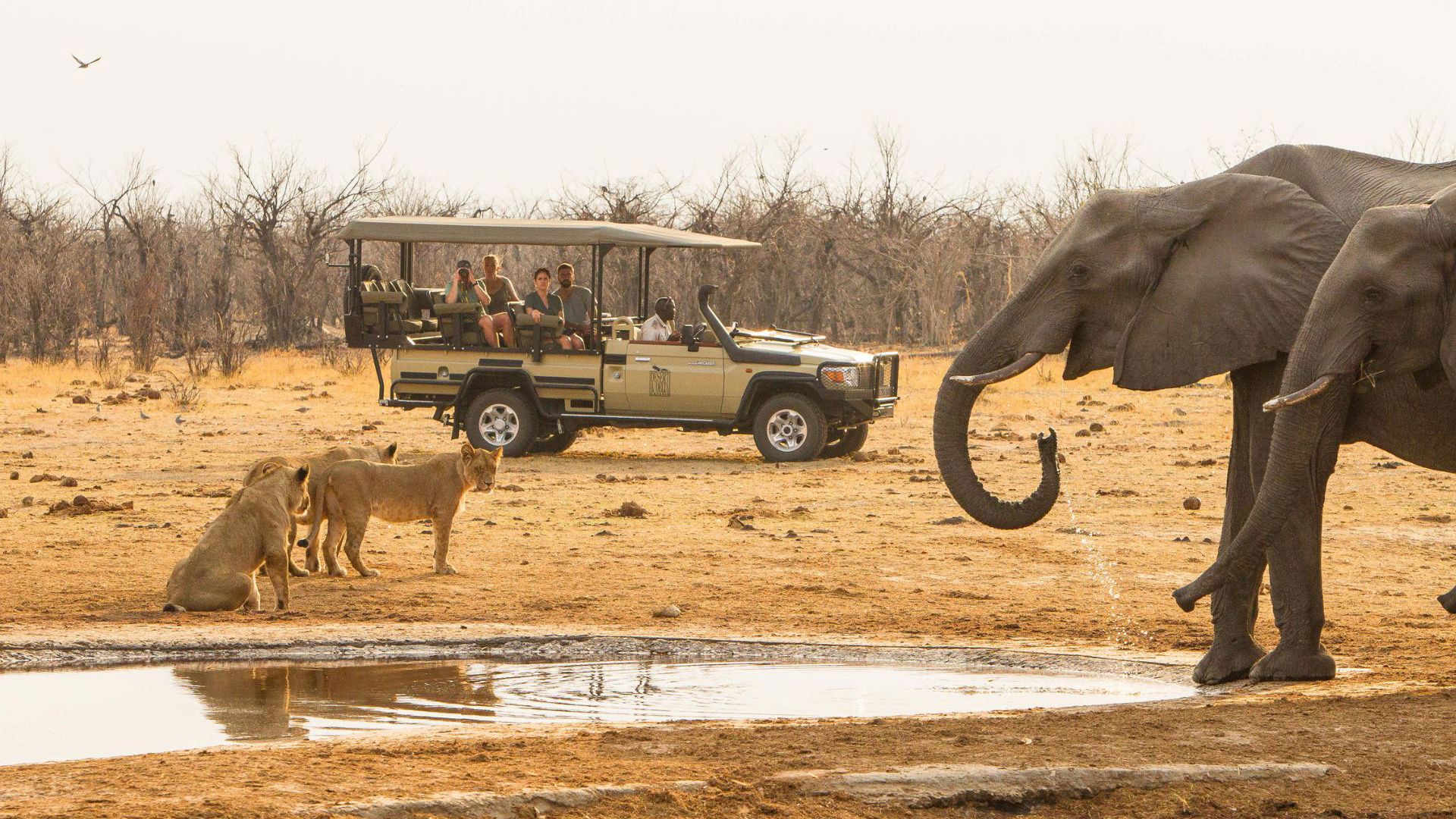 Waterfalls and Wildlife - Savute Game Drive