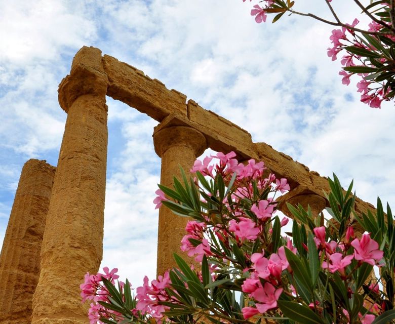 Mediterranean Agrigento Palermo Italy excursion Temples Valley view archaeological site Era Lacinia flower