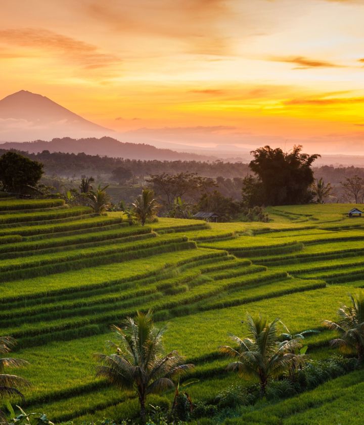 Bali rice terraces sunrise 