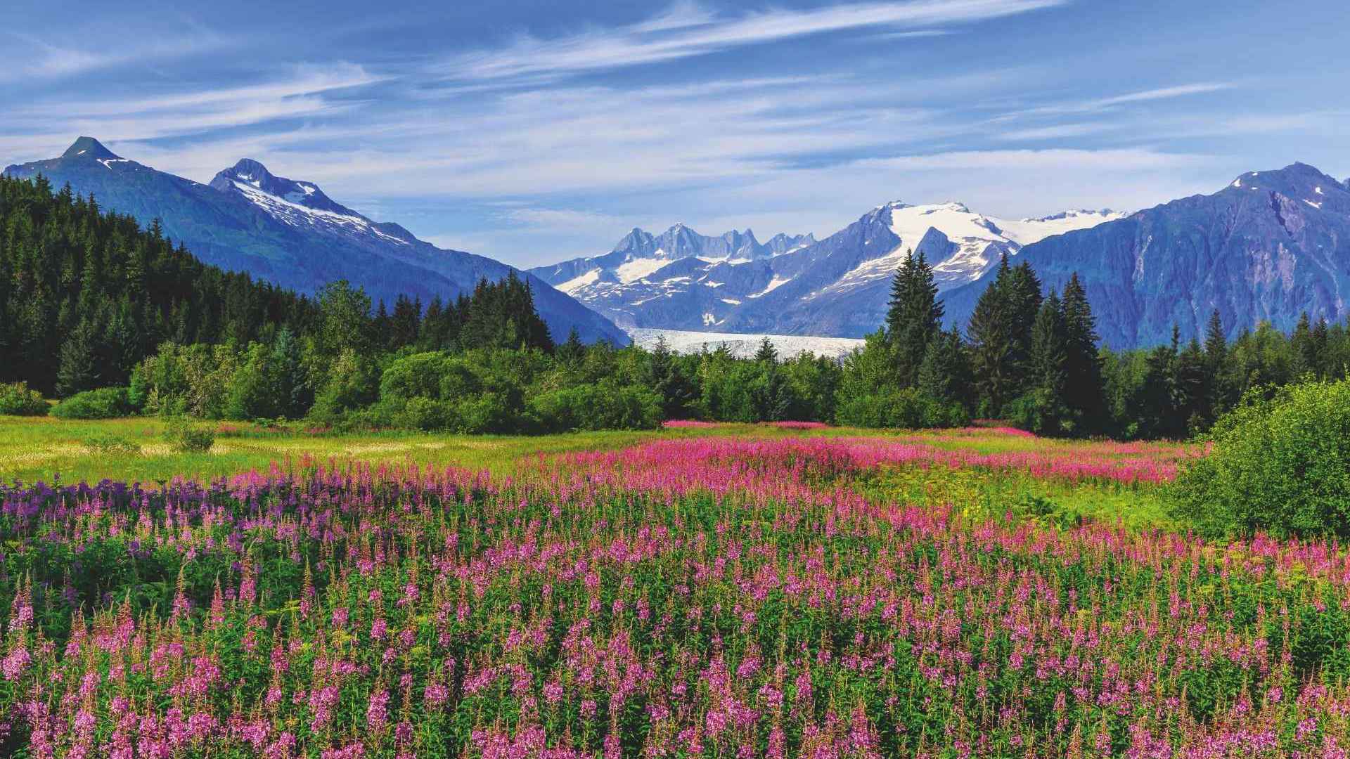 Glimpse into Alaska