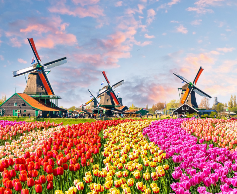 Escorted Group Tours