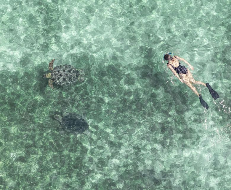 Magical Madagascar - Snorkelling