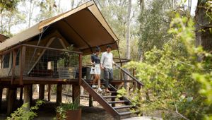 Paperbark Camp, Woollamia 172774 © Destination NSW
