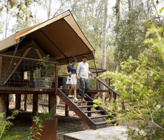 Paperbark Camp, Woollamia 172774 © Destination NSW