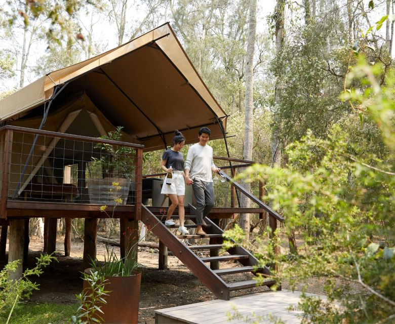 Paperbark Camp, Woollamia 172774 © Destination NSW