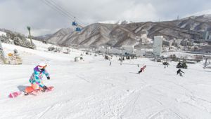 Stay & Ski Naeba - Travel & CO