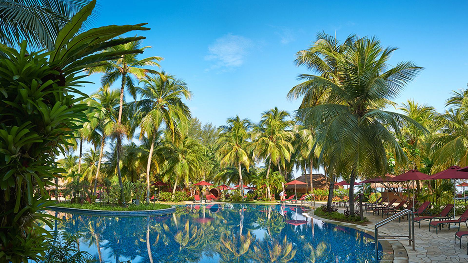 PARKROYAL Penang - Swimming Pool