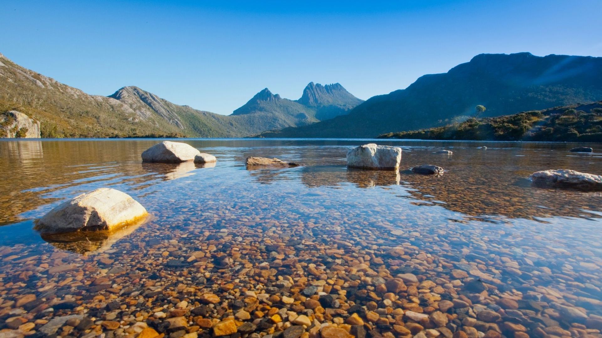 Lake Dove And Cradle Mountain Tasmania CR Tourism Tasmania And Jason Charles Hill 