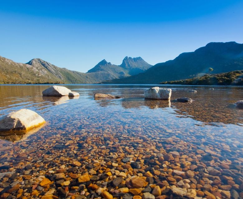 Lake Dove And Cradle Mountain Tasmania CR Tourism Tasmania And Jason Charles Hill 