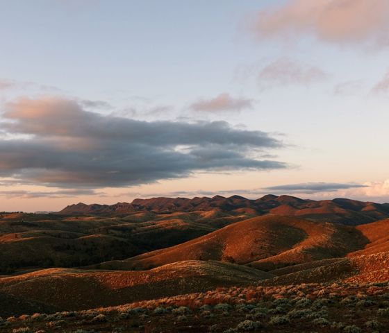 Flinders Ranges 1072562 ©SATC