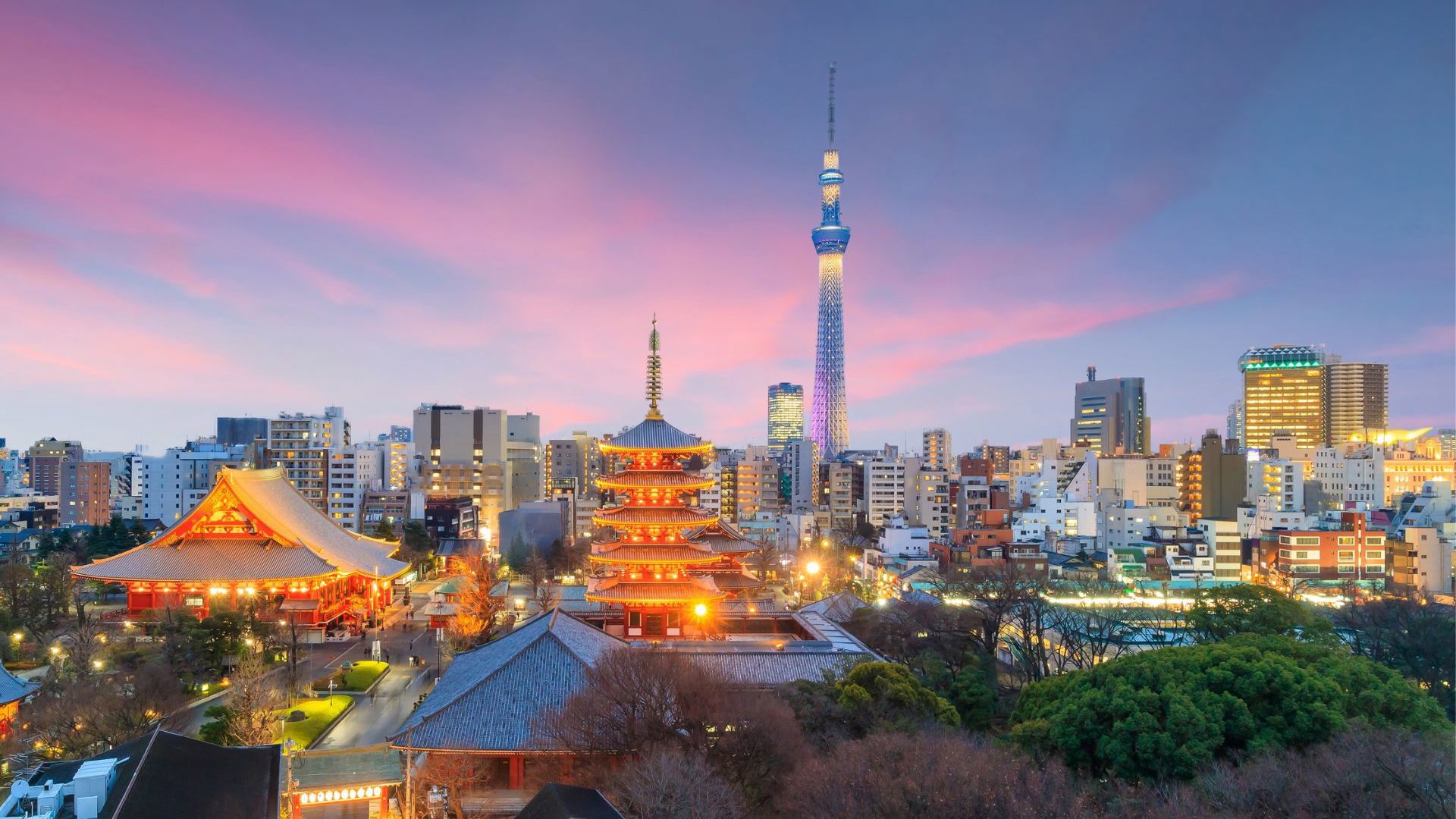 Tokyo Skyline