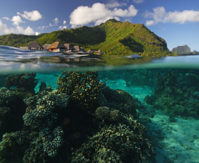 Our Latest Tahiti Deals