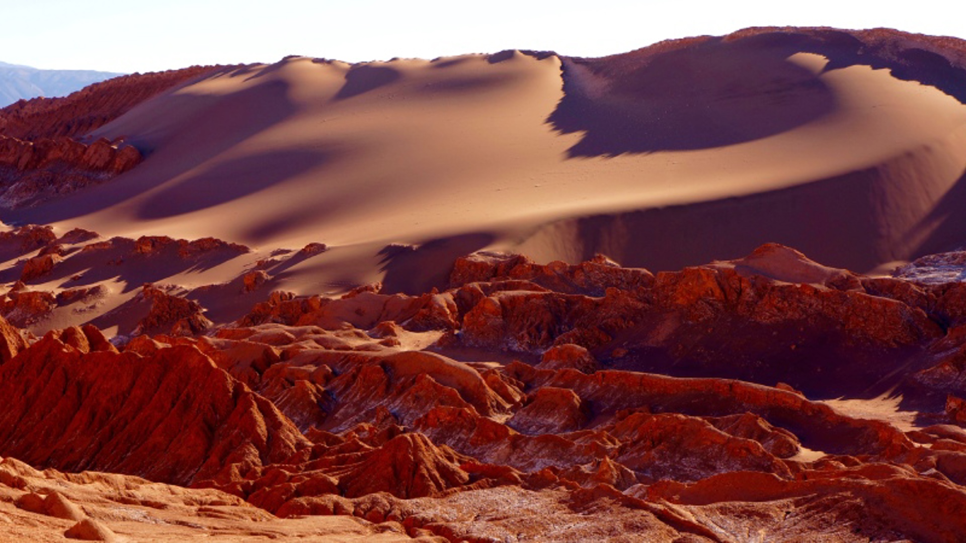 The Atacama Desert, Chile - Unsplash/Bailey Hall