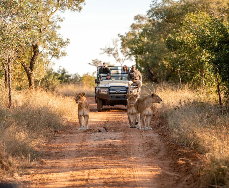 Cape to Kapama - Kapama Wildlife Game Drive_1