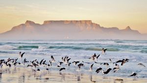 Table Mountain - Viva Expeditions
