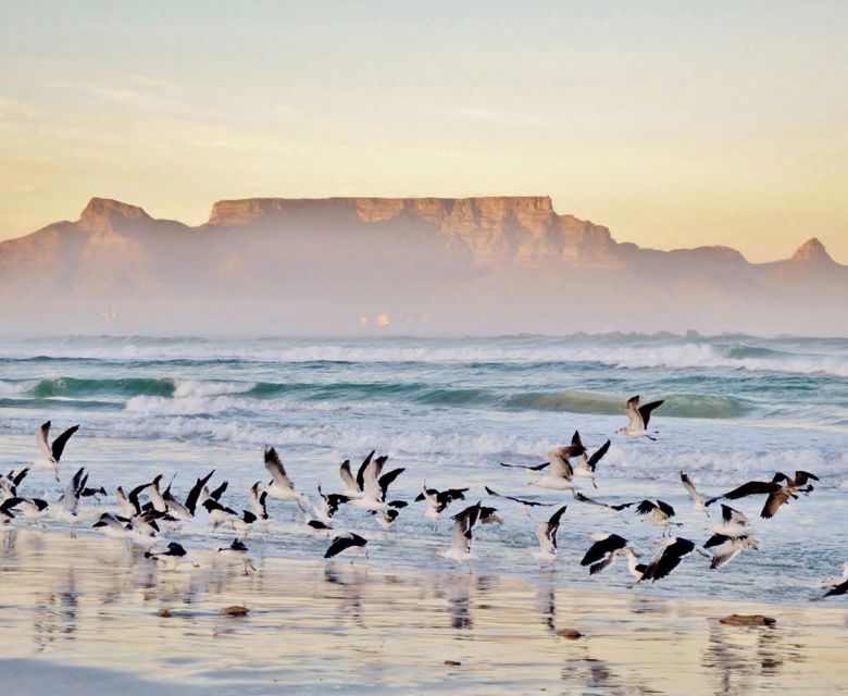Table Mountain - Viva Expeditions