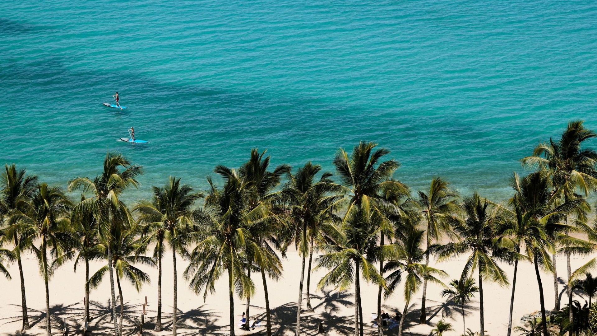 The Sundays Hamilton Island Beach