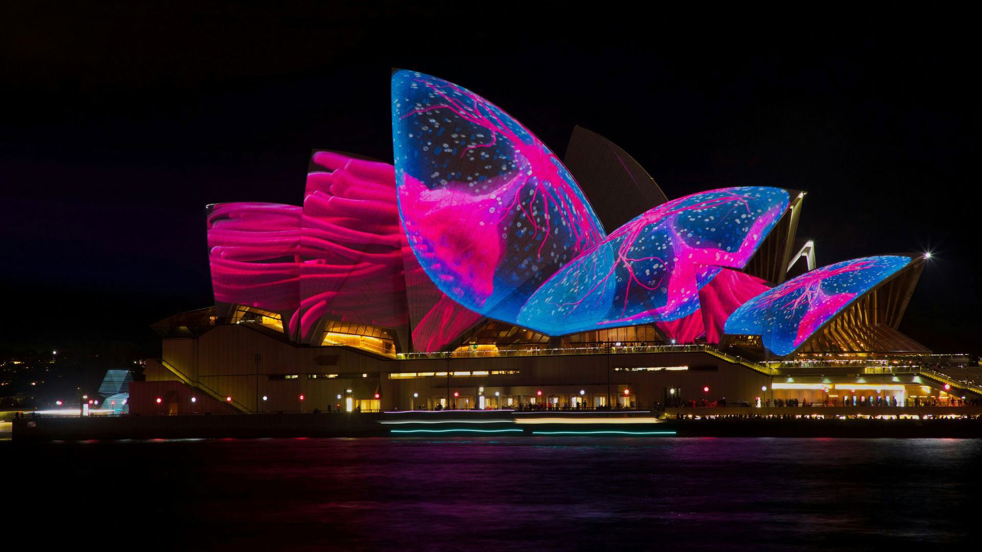 The Opera House is lit up for Vivid Sydney.