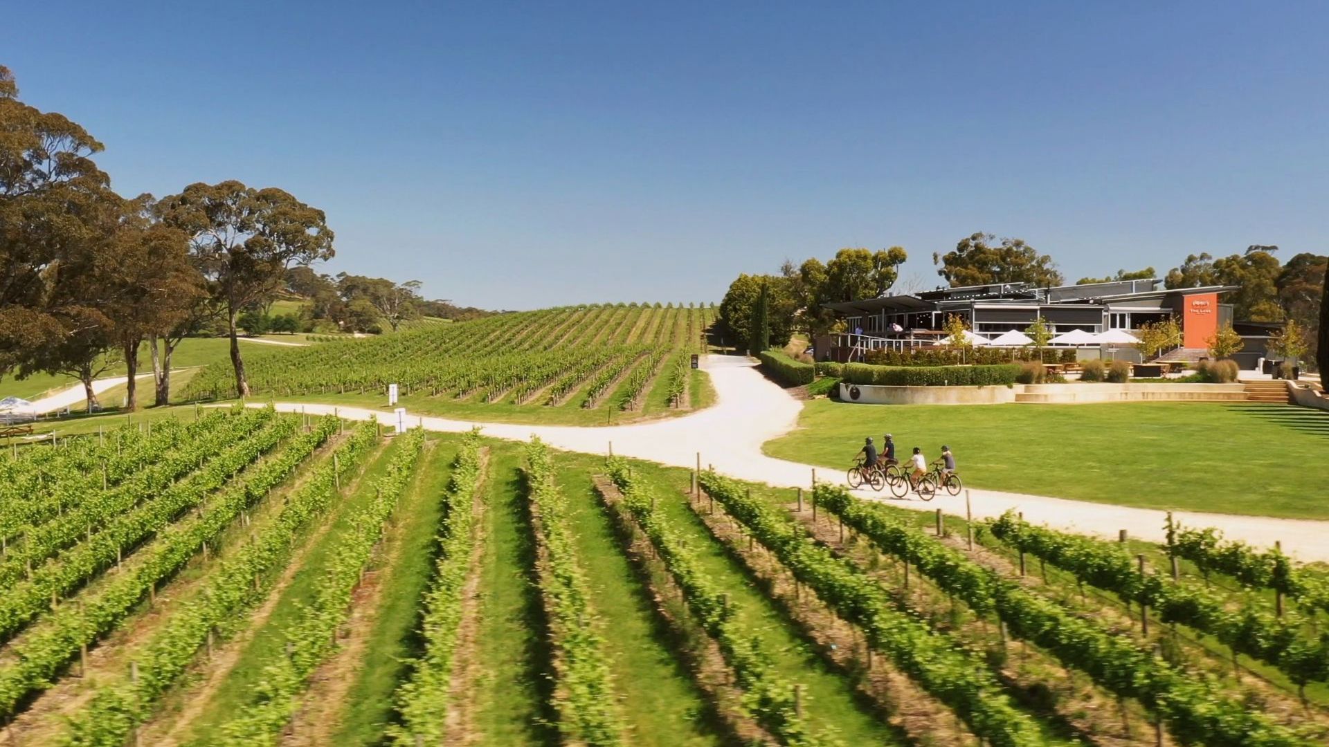 Bikeabout The Lane Winery