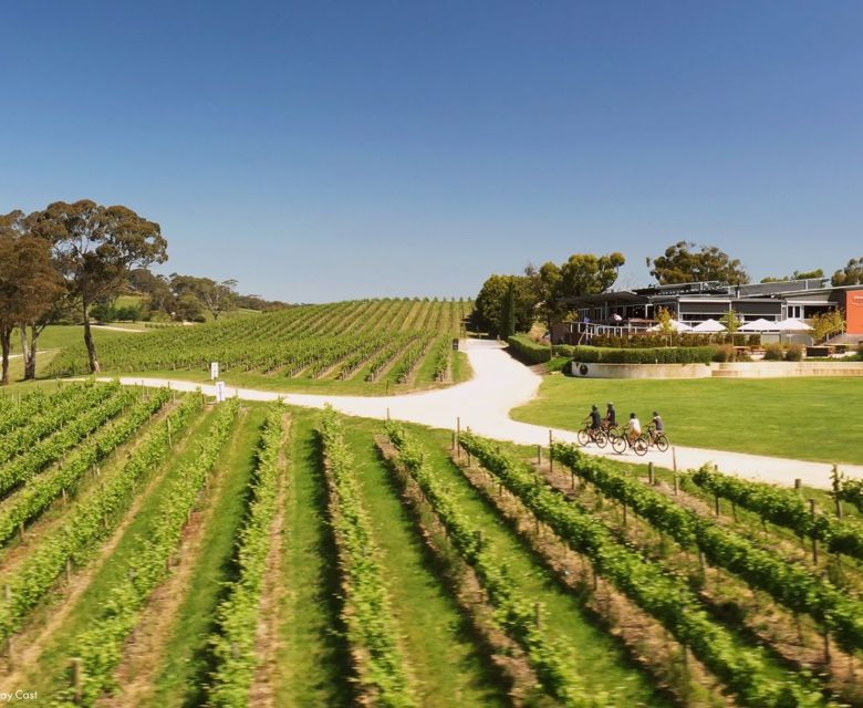 Bikeabout The Lane Winery