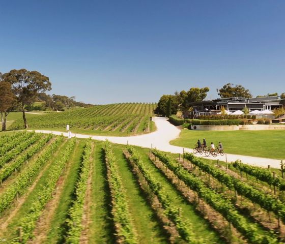 Bikeabout The Lane Winery