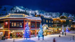 Sliverstar - Travel&CO