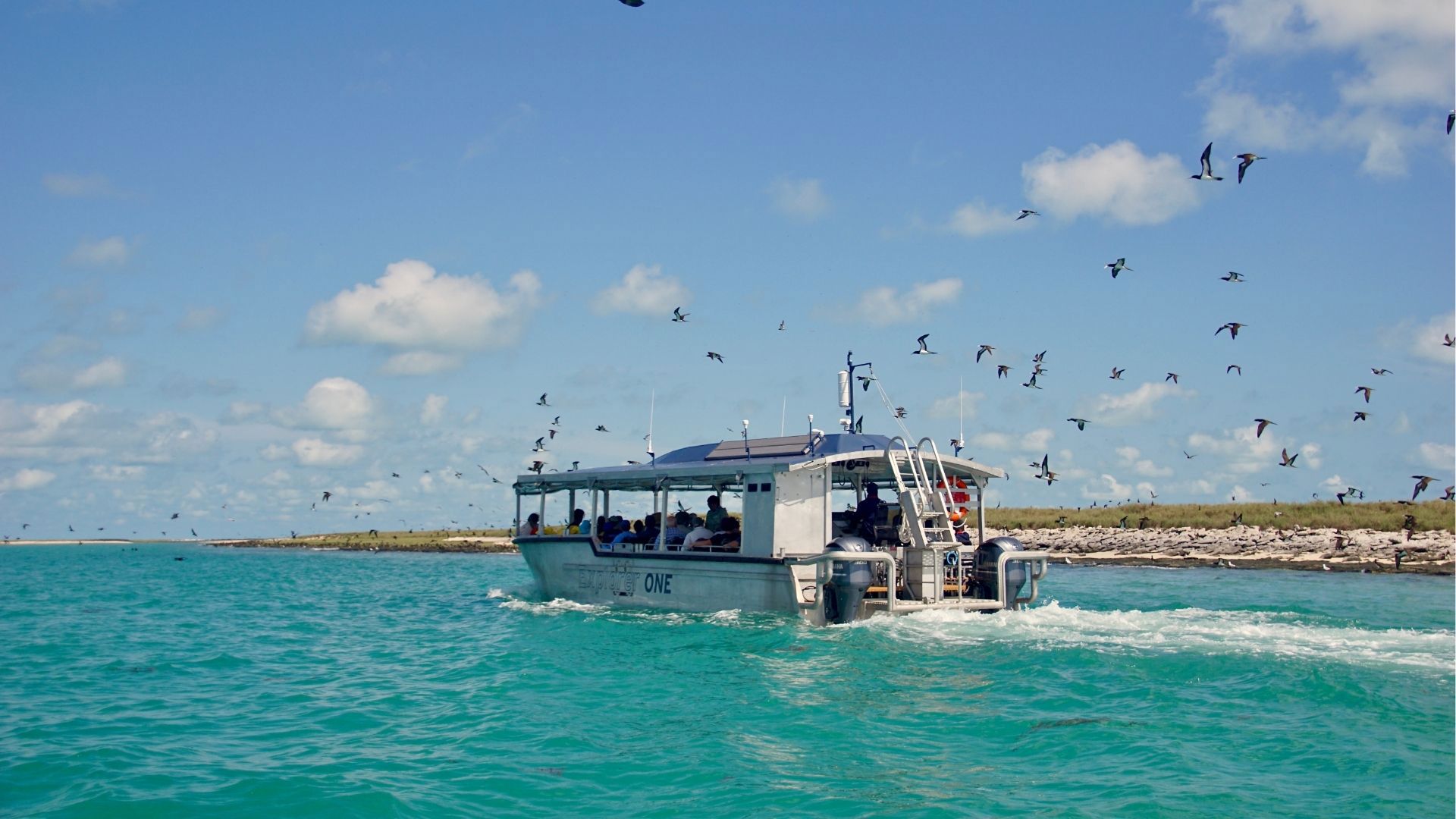 Coral Expedition Lacepede Islands