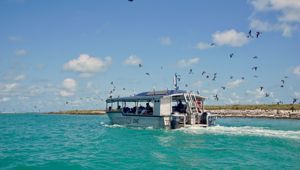 Coral Expedition Lacepede Islands