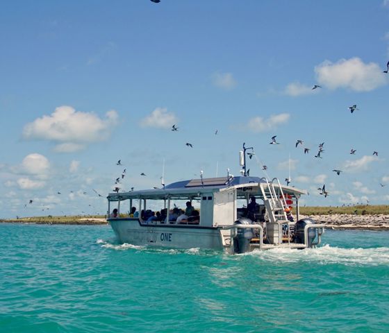 Coral Expedition Lacepede Islands