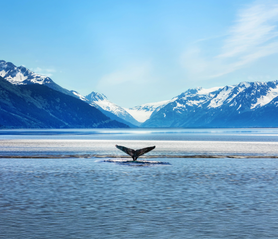 Seabourn - Glacier Bay