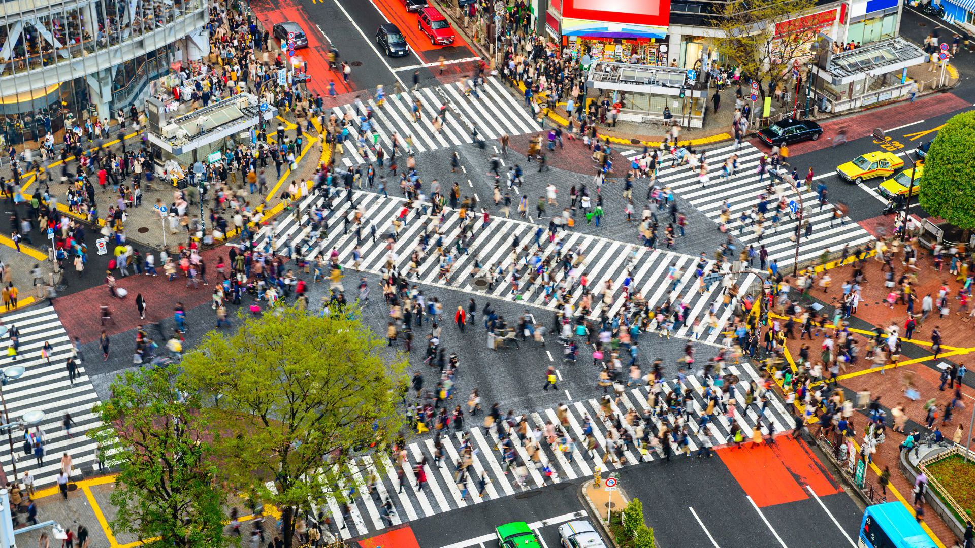 Shibuya Crossing