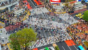 Shibuya Crossing