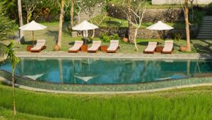 Alaya Resort Ubud - Pool