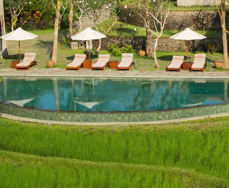 Alaya Resort Ubud - Pool