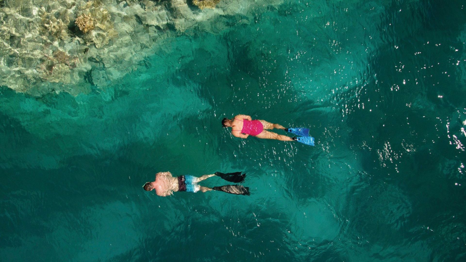 Lady Musgrave Island - TEQ image - 2