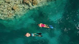 Lady Musgrave Island - TEQ image - 2