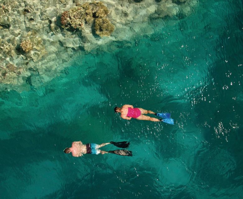Lady Musgrave Island - TEQ image - 2