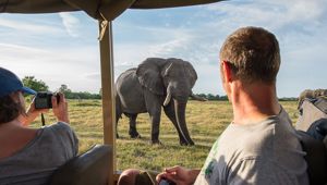 Sunway Botswana Land Cruiser Bruce Taylor-0827