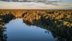 PS Australian Star 3492