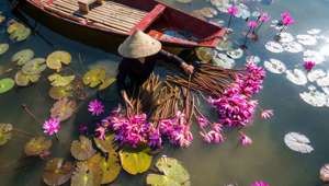 Vietnam Boat Waterlillies