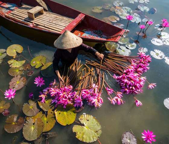 Vietnam Boat Waterlillies