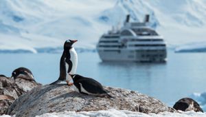 Discovering Antarctica in purpose-built Ponant ship led by an expert naturalists and guides