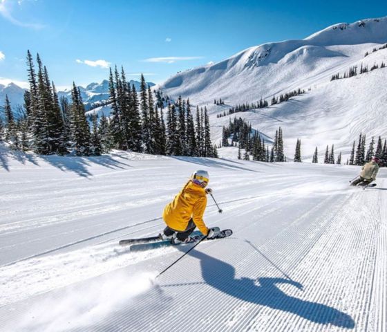 Person skiing through trees