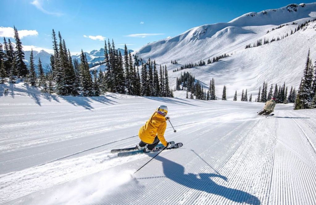 Person skiing through trees