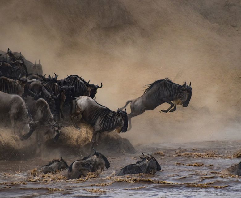 Abercrombie & Kent - Ultimate Great Migration (Shutterstock Images 711039019)