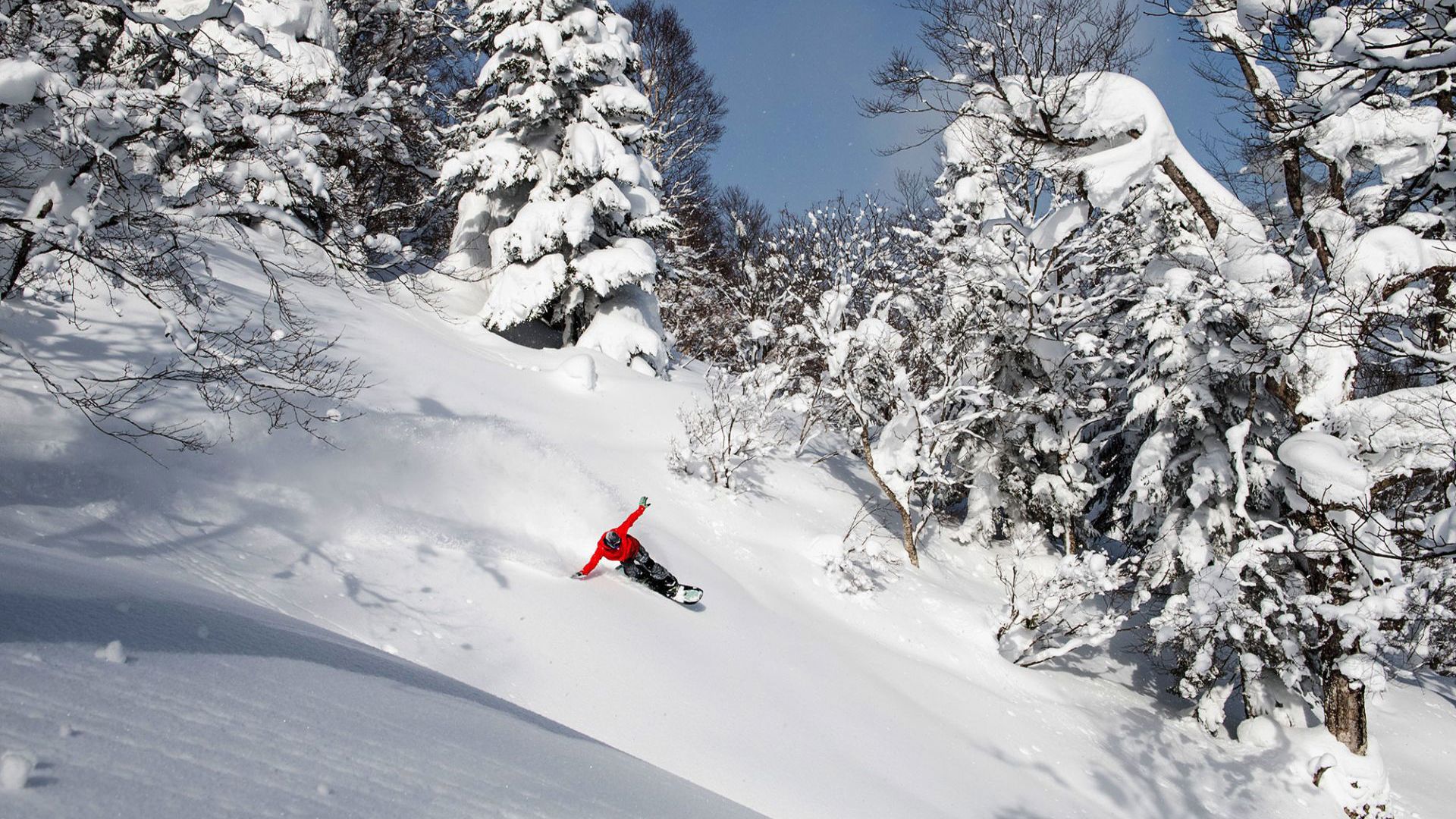 Appi Kogen Travel & Co